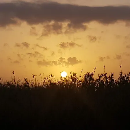 אכסניה Eco Vela Vega