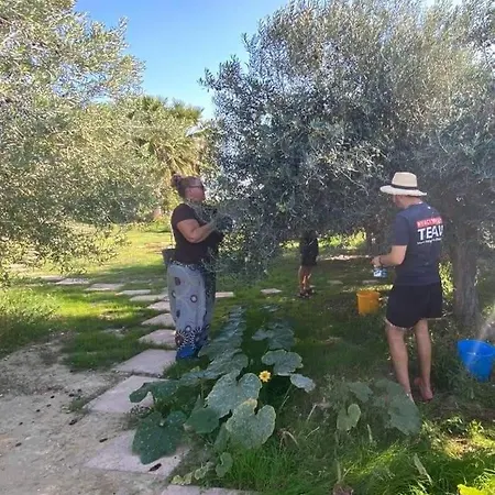 אכסניה Eco Vela Vega בוטרה