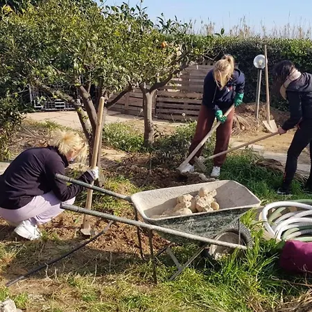 Eco Vela Vega * בוטרה