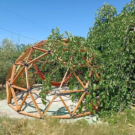 Eco Vela Vega *