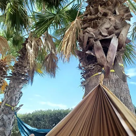 Eco Vela Vega *