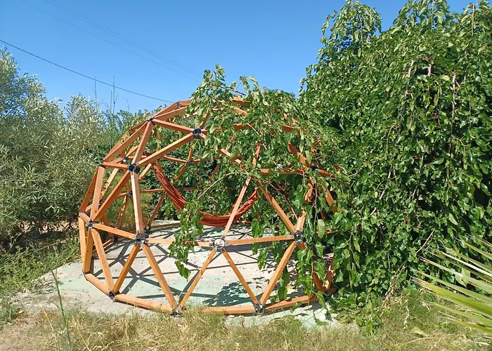Eco Vela Vega *