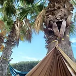 Eco Vela Vega *