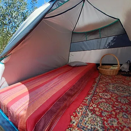 Eco Vela Vega Hostel *