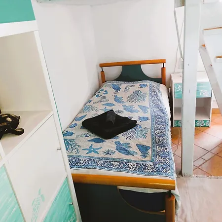 Vandrarhem Eco Vela Vega