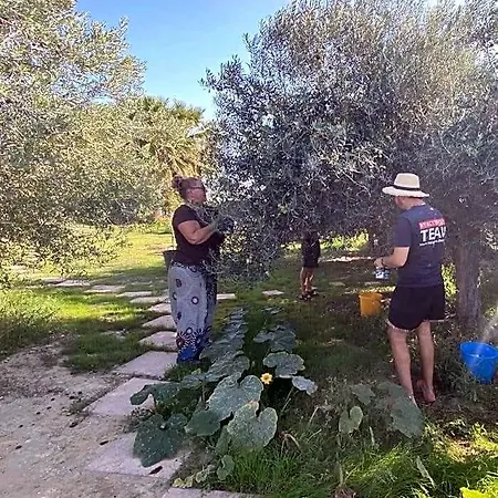 بيت شباب Eco Vela Vega