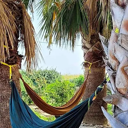 بيت شباب Eco Vela Vega