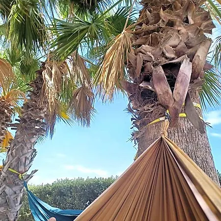 Eco Vela Vega