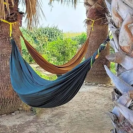 بيت شباب Eco Vela Vega *