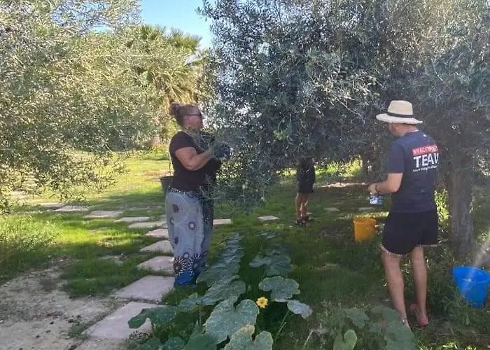 אכסניה Eco Vela Vega בוטרה