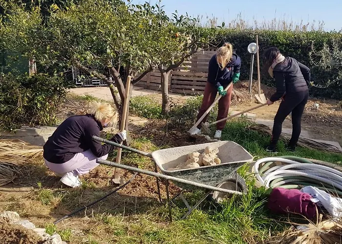 Eco Vela Vega * בוטרה