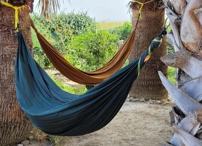 אכסניה Eco Vela Vega בוטרה